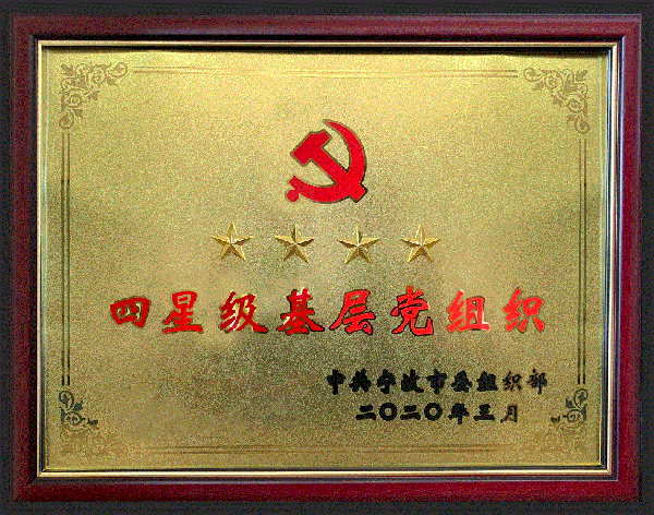 均泰党支部评获“四星级基层党组织”荣誉称号
